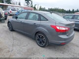 Miniaturka zdjęcia 3