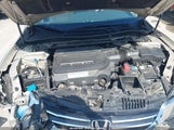 HONDA ACCORD EX-L V-6 1HGCR3F80DA024088 снимка