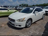 NISSAN MAXIMA 3.5 SV 1N4AA5APXAC839489 снимка