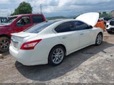 NISSAN MAXIMA 3.5 SV 1N4AA5APXAC839489 снимка