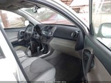TOYOTA RAV4 LIMITED JTMZD31V785102286 fotografie