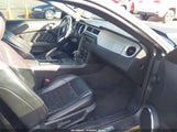 FORD MUSTANG V6 PREMIUM 1ZVBP8AM6D5232239 fotografie