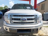 FORD F-150 XLT 1FTFW1CTXDKG41882 fotografie