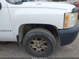 CHEVROLET SILVERADO 1500 WORK TRUCK 1GCEC19X67Z647639 снимка