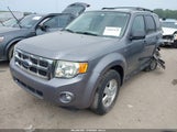 FORD ESCAPE XLT 1FMCU931X8KB99581 снимка