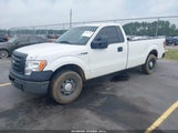 Ford F-150 Xl 1FTPF1CF6BKD98082 снимка