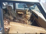 JEEP GRAND WAGONEER 1JCNJ15U7JT237152 photo
