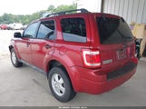 FORD ESCAPE XLT 1FMCU0D78CKB62021 fotografie