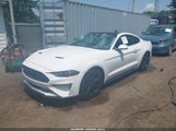 Ford Mustang Ecoboost Fastback 1FA6P8TH2L5149769 снимка