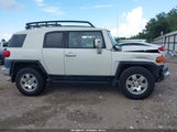 Toyota Fj Cruiser JTEZU4BF3AK009636 photo
