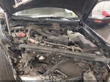Ford F-150 Fx4/Harley-Davidson/King Ranch/Lariat/Platinum/Xl/Xlt 1FTFW1EV1AFC23746 photo