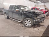Ford F-150 Fx4/Harley-Davidson/King Ranch/Lariat/Platinum/Xl/Xlt 1FTFW1EV1AFC23746 photo