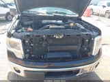Ford F-150 Xlt 1FTFW1CT5EKE06890 снимка