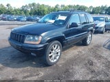 JEEP GRAND CHEROKEE LIMITED 1J4GW58N02C176004 fotografie