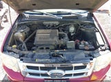 Ford Escape Xlt 1FMCU93G49KA16830 снимка