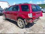 Ford Escape Xlt 1FMCU93G49KA16830 снимка