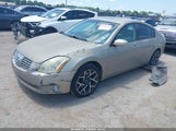 NISSAN MAXIMA 3.5 SE 1N4BA41EX6C809249 снимка