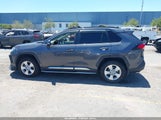Toyota Rav4 Xle JTMP1RFV3LD059561 снимка