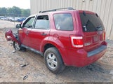 Ford Escape Xlt 1FMCU9D79BKC38770 photo