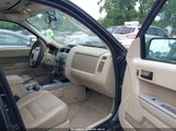 Ford Escape Xlt 1FMCU9DG8BKA69244 fotografie