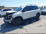 Honda Passport Elite 5FNYF8H09KB017887 снимка