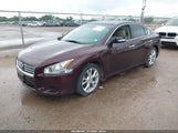 Nissan Maxima 3.5 Sv 1N4AA5AP0EC499761 снимка