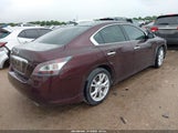 Nissan Maxima 3.5 Sv 1N4AA5AP0EC499761 снимка