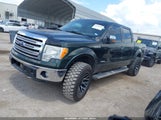 Ford F-150 Fx4/King Ranch/Lariat/Limited/Platinum/Xl/Xlt 1FTFW1ET3DKD95206 fotografie