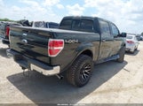 Ford F-150 Fx4/King Ranch/Lariat/Limited/Platinum/Xl/Xlt 1FTFW1ET3DKD95206 снимка