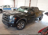 FORD F-150 FX4/KING RANCH/LARIAT/LIMITED/PLATINUM/XL/XLT 1FTFW1ET4DKE01742 fotografie
