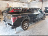 FORD F-150 FX4/KING RANCH/LARIAT/LIMITED/PLATINUM/XL/XLT 1FTFW1ET4DKE01742 fotografie