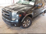 FORD F-150 FX4/KING RANCH/LARIAT/LIMITED/PLATINUM/XL/XLT 1FTFW1ET4DKE01742 fotografie