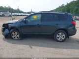 Toyota Rav4 2T3BF4DV6BW134885 photo
