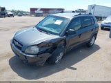 Hyundai Tucson Gls KM8JM12BX7U549197 снимка