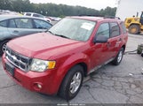 Ford Escape Xlt 1FMCU0D71BKA24416 photo