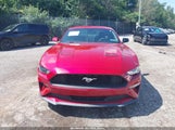 Ford Mustang Ecoboost Fastback 1FA6P8TH2L5159251 снимка