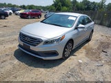 HYUNDAI SONATA SPORT 5NPE34AF2GH265541 снимка