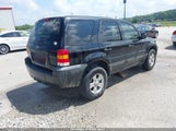 Ford Escape Xlt 1FMYU03145KA93253 снимка
