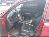 Ford Escape Xlt 1FMCU93G69KB62033 снимка