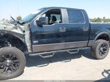 Ford F-150 60Th Anniversary/Fx4/King Ranch/Lariat/Limited/Xlt 1FTPW14548KC56375 fotografie