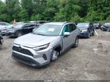 Toyota Rav4 Xle 2T3P1RFV3RC457527 снимка