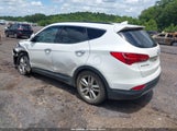 Hyundai Santa Fe Sport 2.0L Turbo 5XYZU3LA9EG183515 снимка