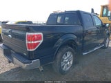 Ford F-150 Fx2 Sport/Harley-Davidson/King Ranch/Lariat/Platinum/Xl/Xlt 1FTFW1CVXAFB86540 fotografie