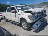 Ford F-150 King Ranch/Lariat/Platinum/Xl/Xlt 1FTPW12V49FA92011 fotografie