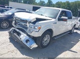 Ford F-150 King Ranch/Lariat/Platinum/Xl/Xlt 1FTPW12V49FA92011 fotografie