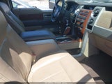 Ford F-150 King Ranch/Lariat/Platinum/Xl/Xlt 1FTPW12V49FA92011 fotografie