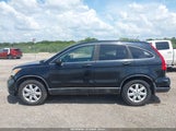 Honda Cr-V Se 5J6RE3H40BL014316 снимка