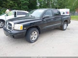 Dodge Dakota Slt 1D7HW48N36S503257 снимка
