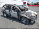 Lexus Rx 300 JT6HF10U7Y0156100 снимка