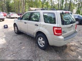 FORD ESCAPE XLS/XLS MANUAL 1FMCU02Z58KA96331 снимка